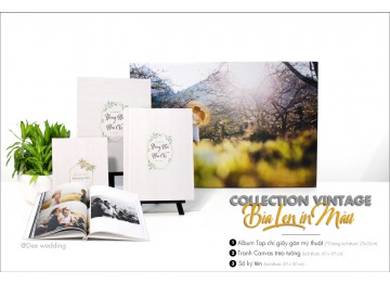 Bộ sưu tập PHOTOBOOK TẠP CHÍ NGHỆ THUẬT_Giấy Art Gân Ne _Bìa Len in màu